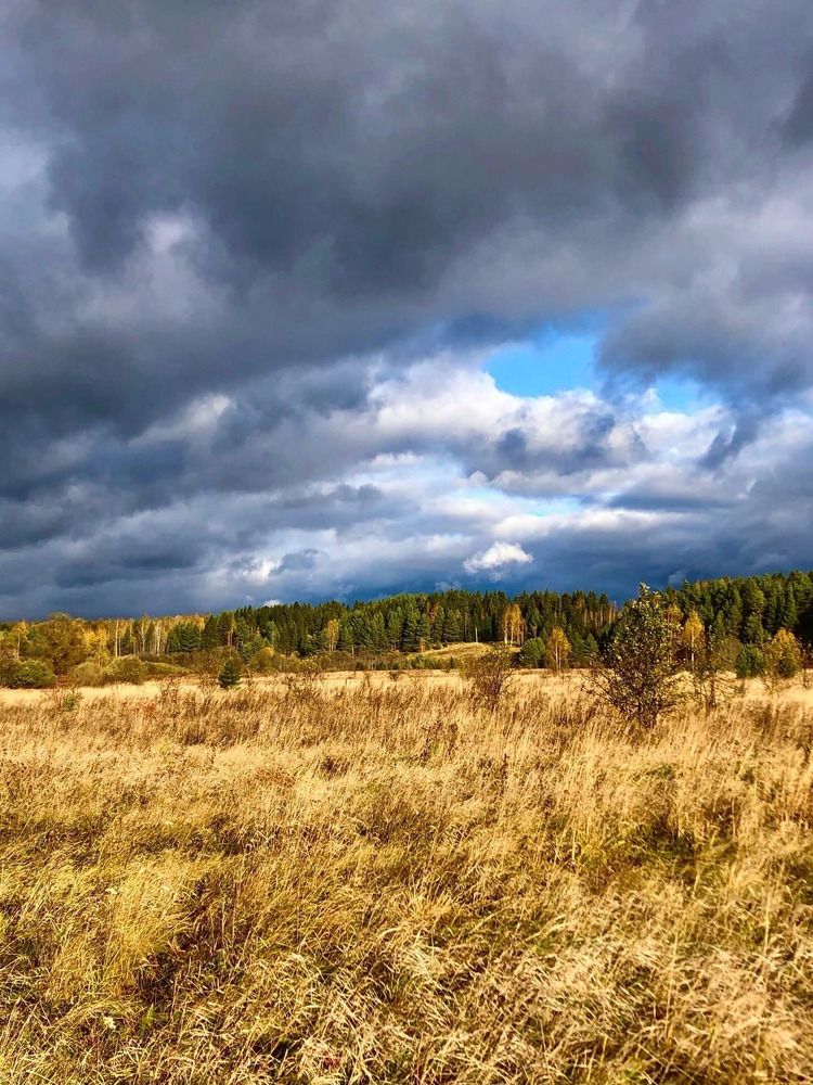 Photograph by Белехова Светлана