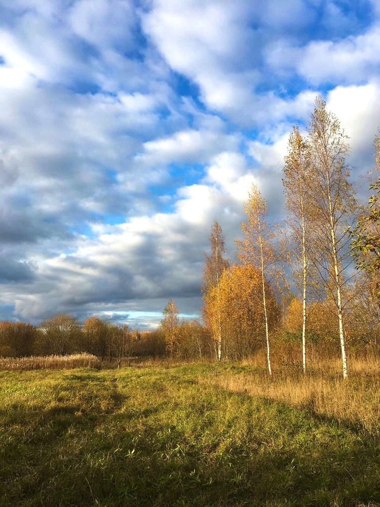 Photograph by Белехова Светлана