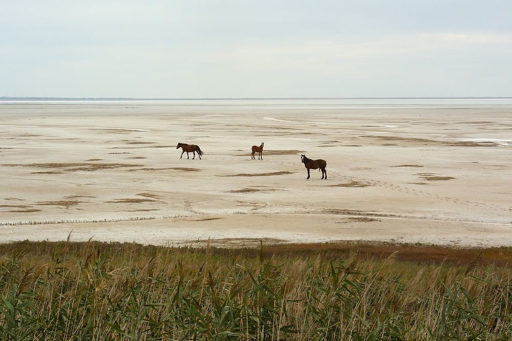 Photograph by Василий