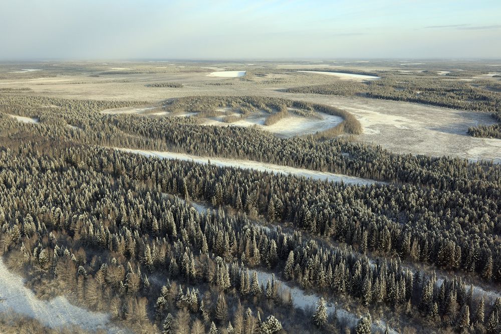 Photograph by Елена Брынько