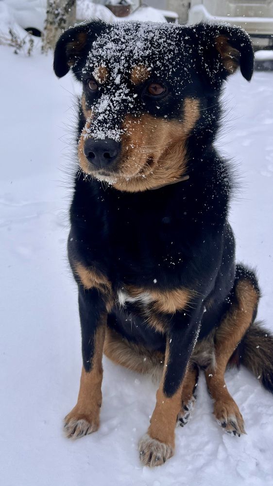 Фотография автора Andrey Uryupin