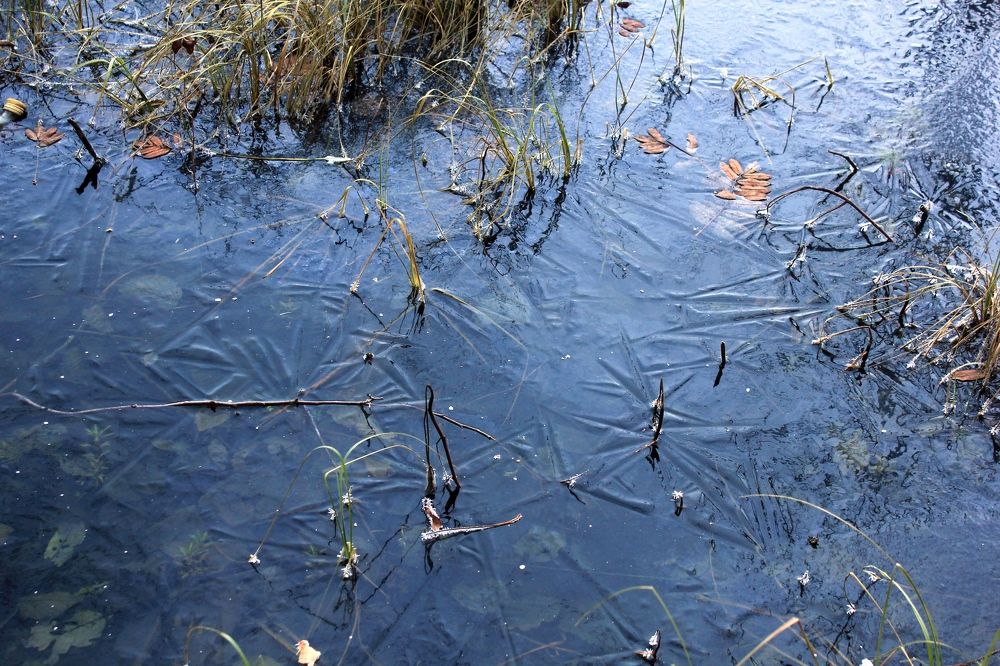 Photograph by Olga Bagaeva