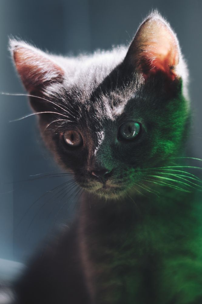 Photograph by Кирилл Колышев