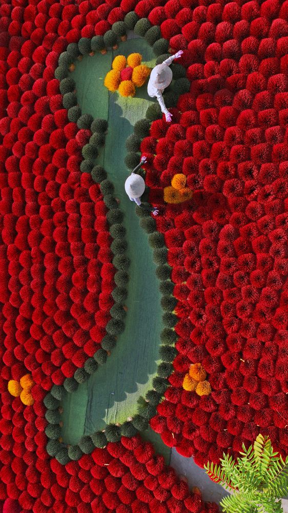 Photograph by Sabina Akter