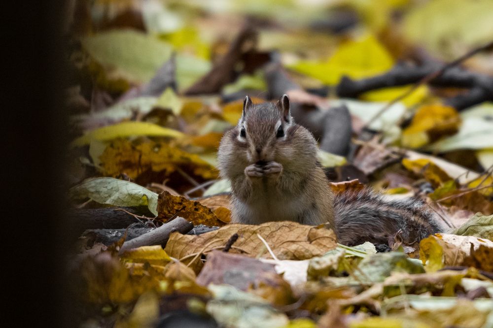 Photograph by Николай Головко