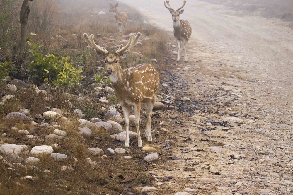 Photograph by Sourav Mahant