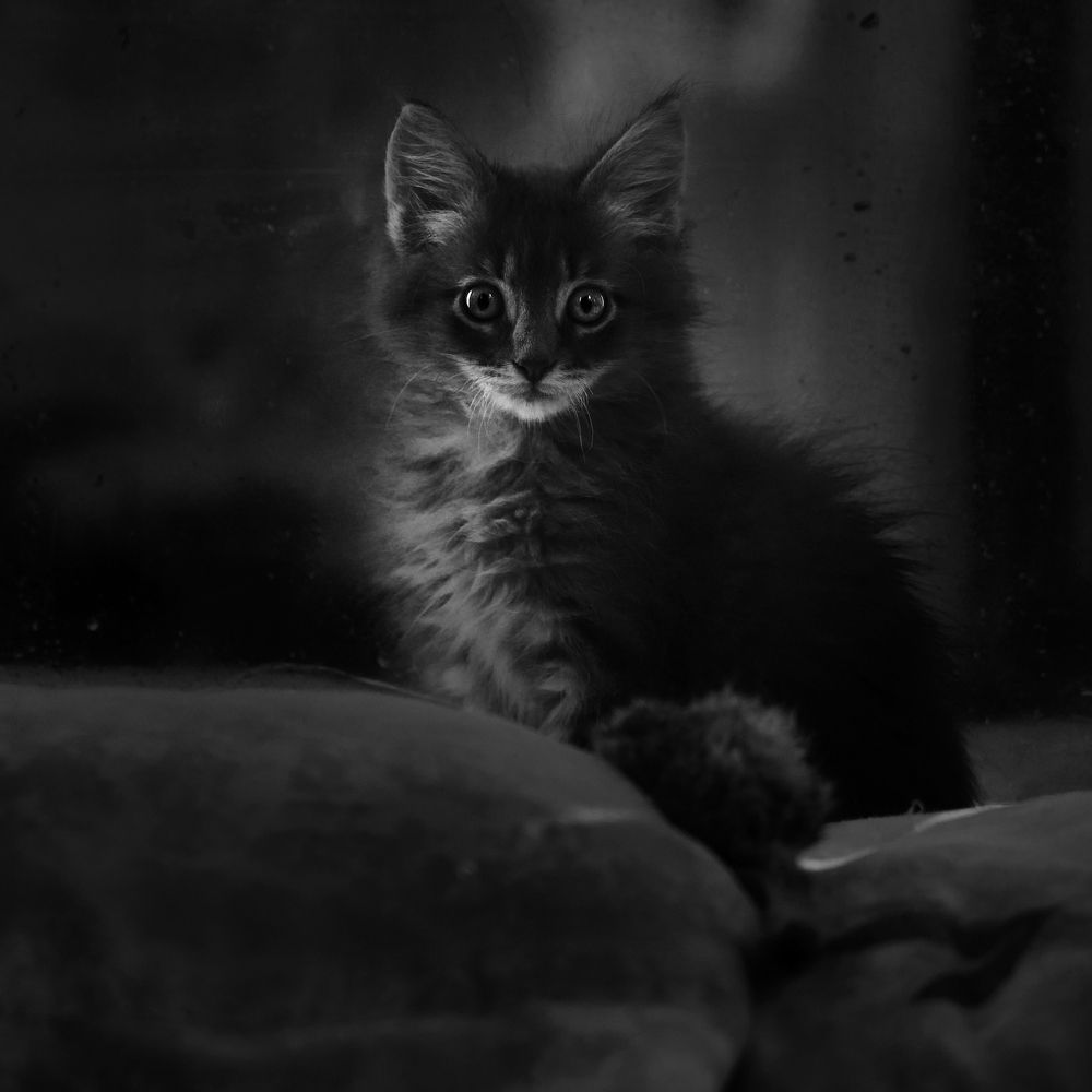 Photograph by Кирилл Колышев