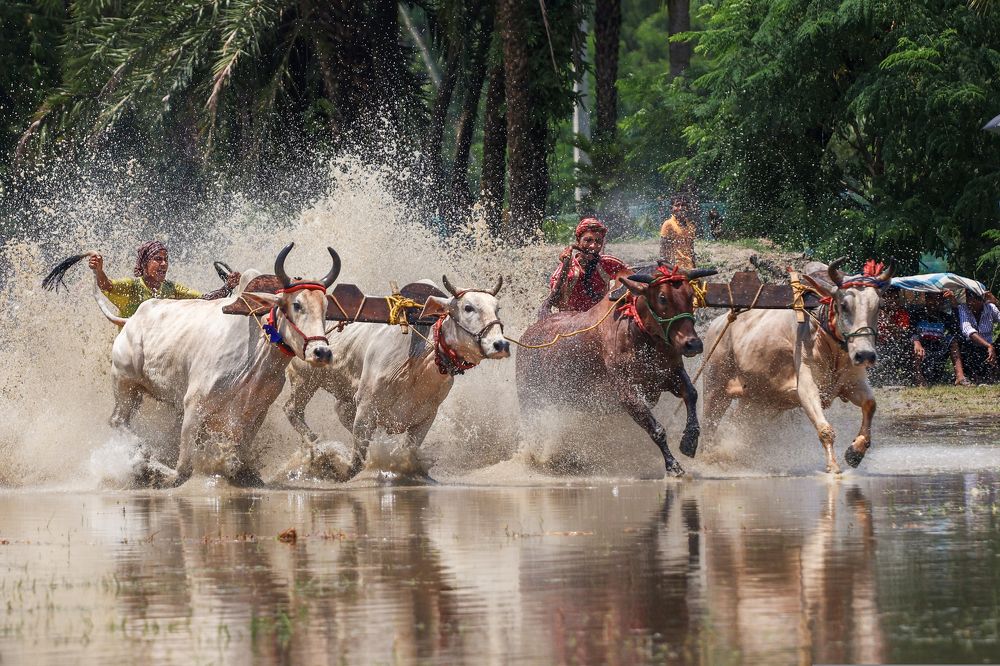 Photograph by Kuntal Biswas
