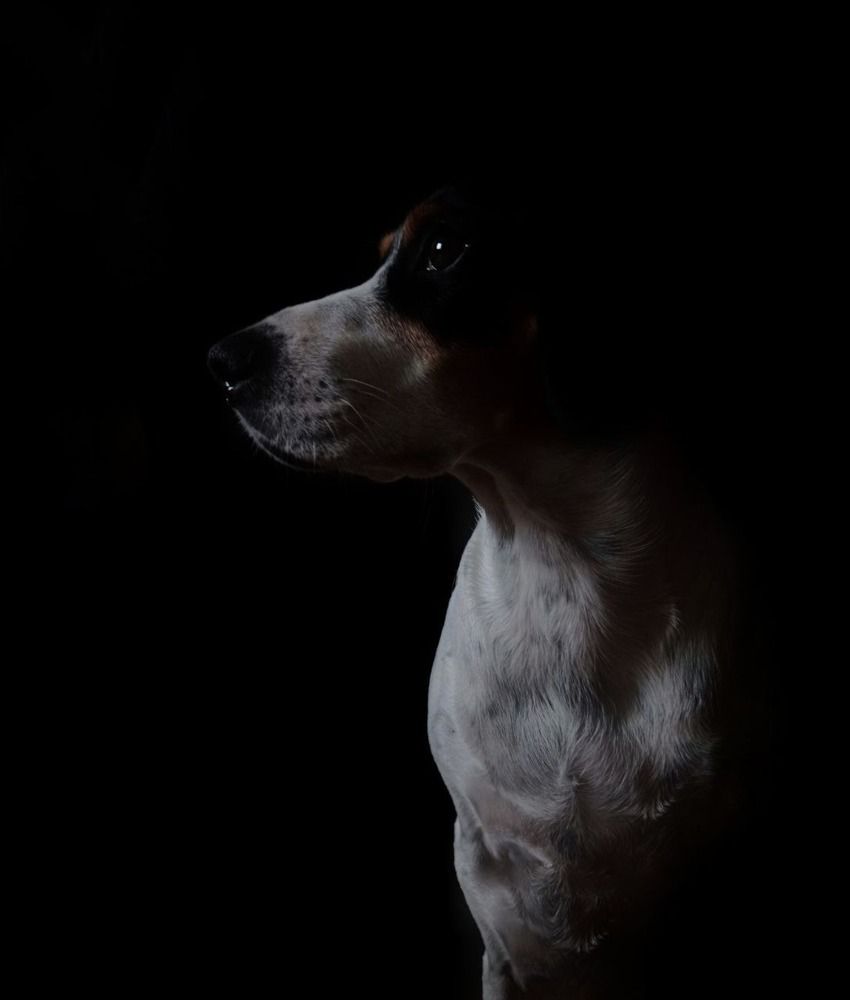 Photograph by Юля Кореневская