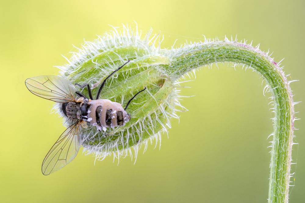 Photograph by BULUR Ozgur Kerem