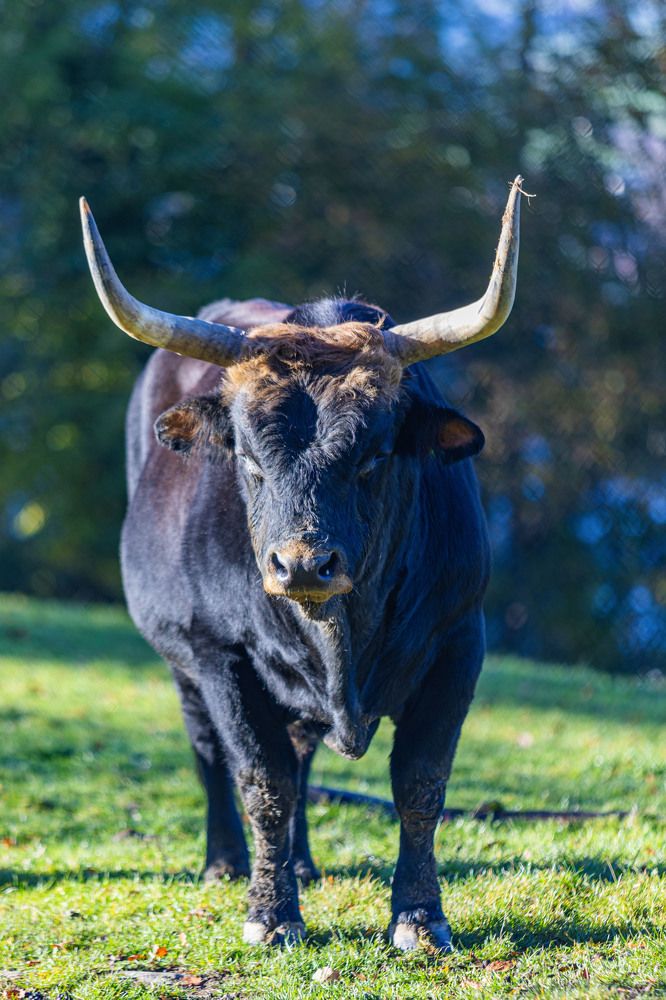 Photograph by Stanislav Strisovsky