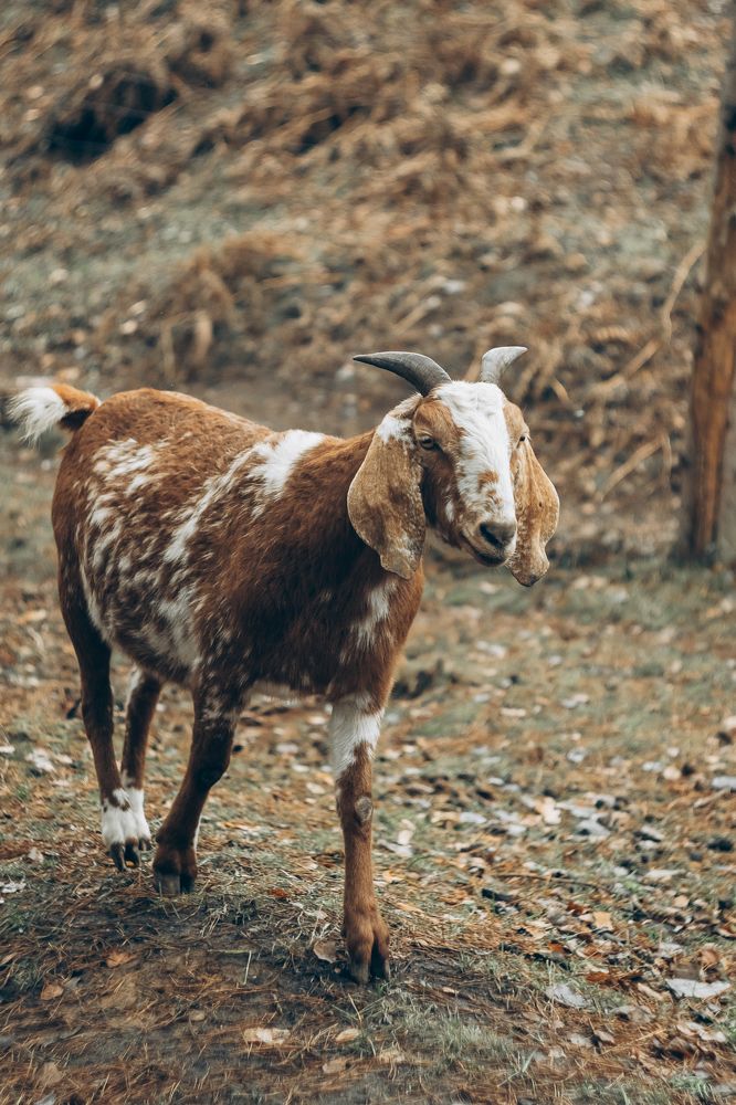 Photograph by Анастасия Черкасова