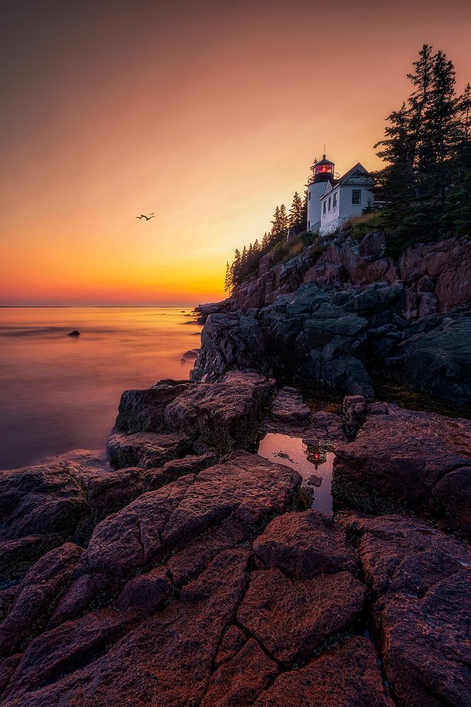 Photograph by Zhenhuan Zhou