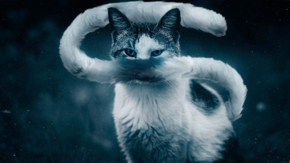 Фотография автора Вадим Поспелов