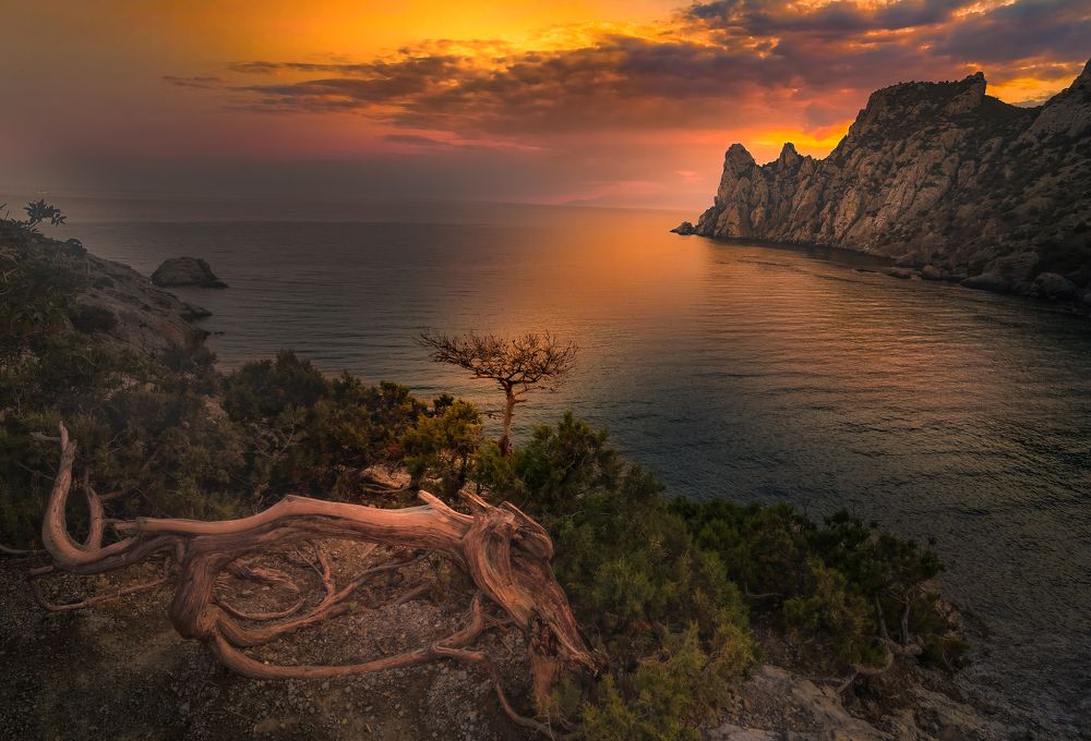 Photograph by Александр Разумов