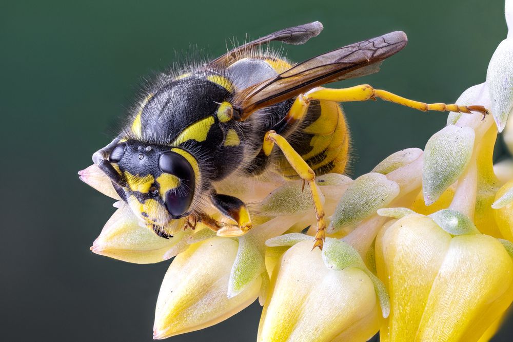 Photograph by BULUR Ozgur Kerem