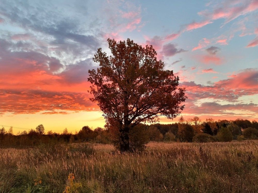 Photograph by Elena Lukashina