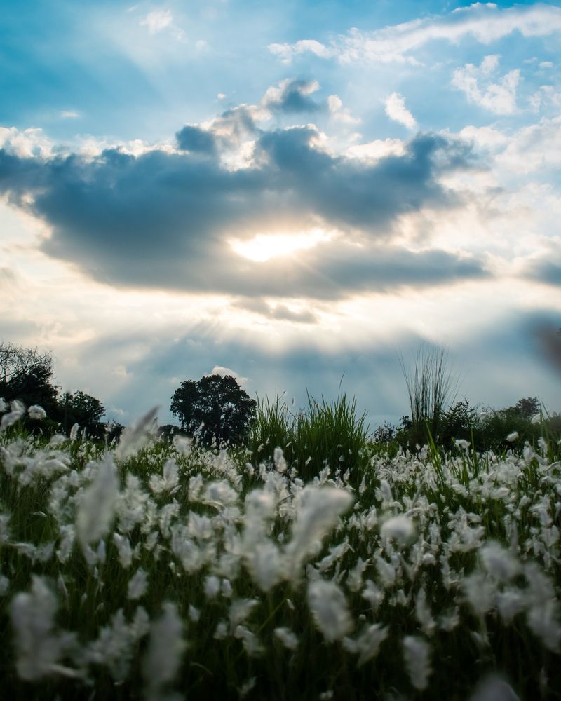 Photograph by Debarshi Das
