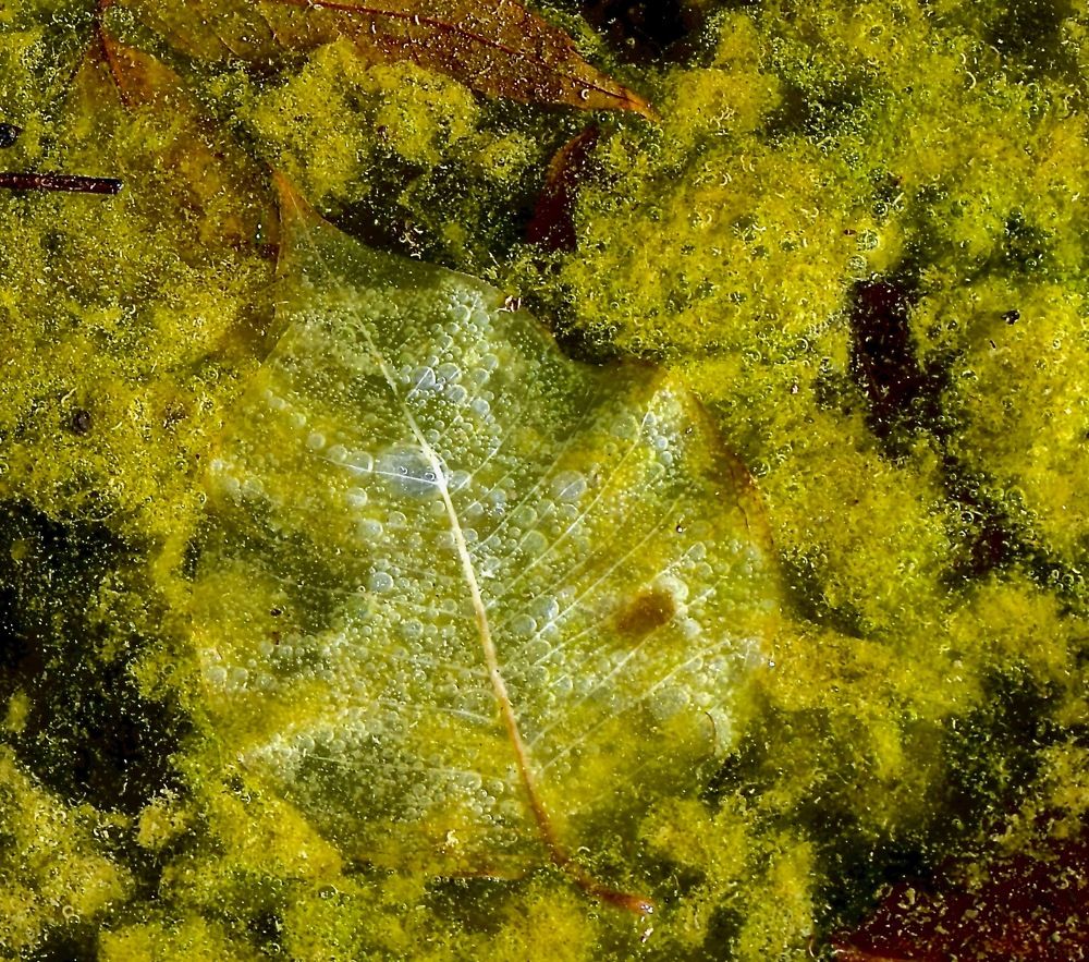 Photograph by Юлия Мартова