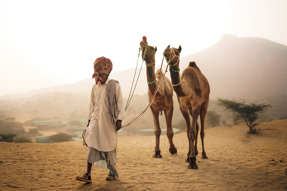 Фотография автора Kriti Kwatra