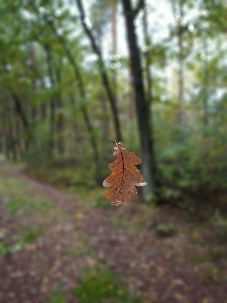 Фотография автора Михаил Бурминский