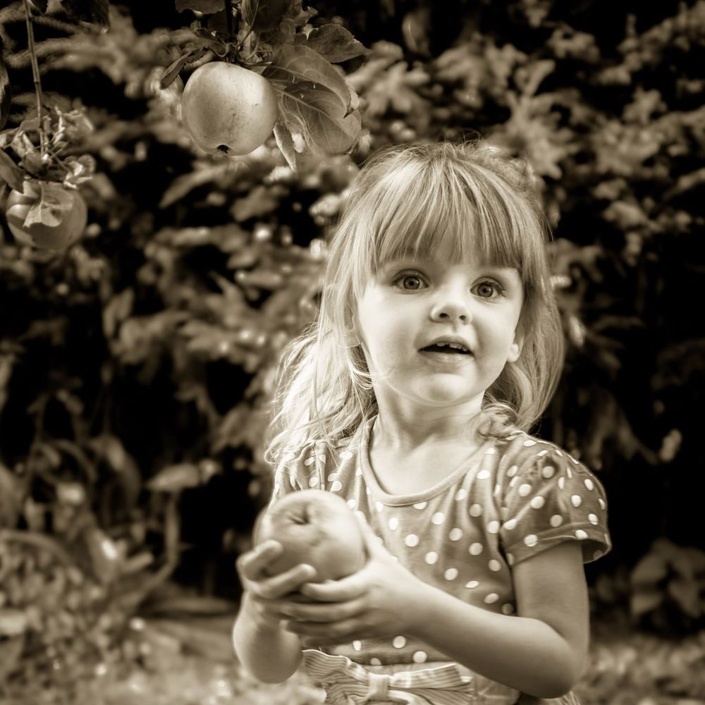 Фотография автора Ian Heard