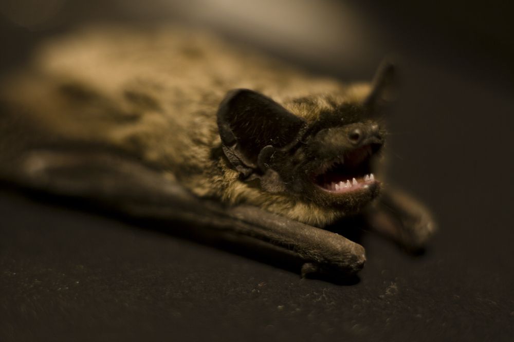 Photograph by Панюшкин Андрей