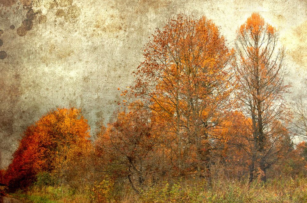 Осенний гобелен