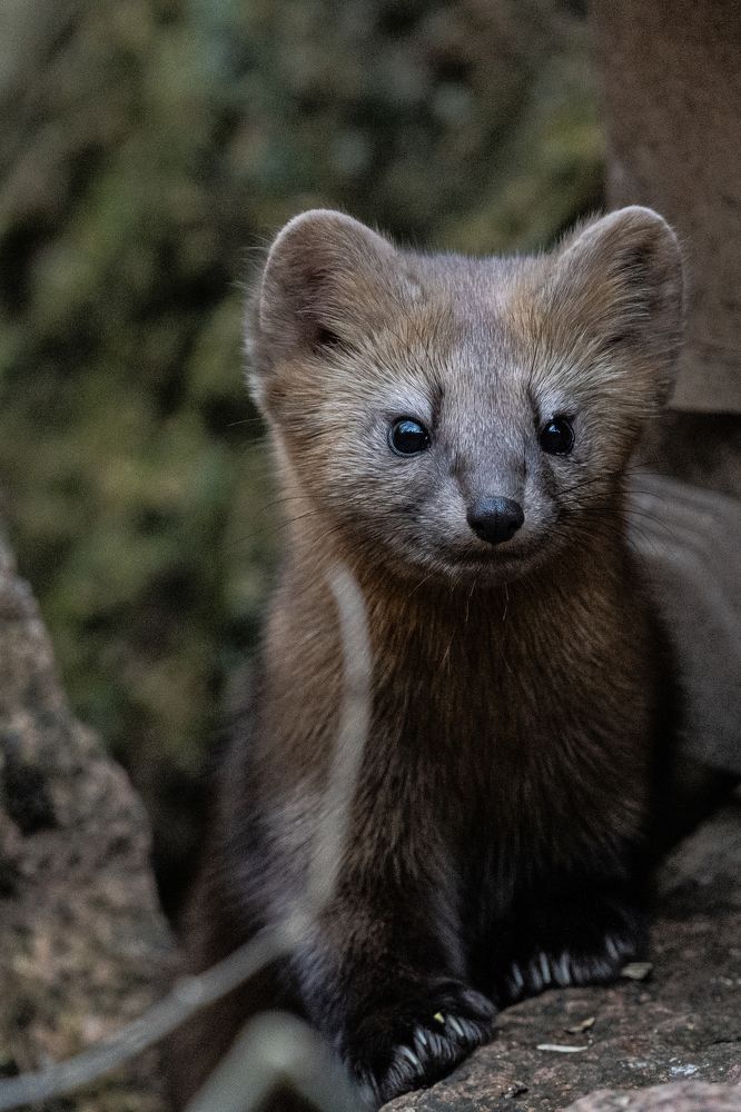 Photograph by Андрей Бородкин