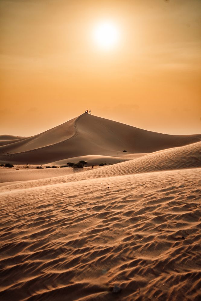 Photograph by Мария Сафронова