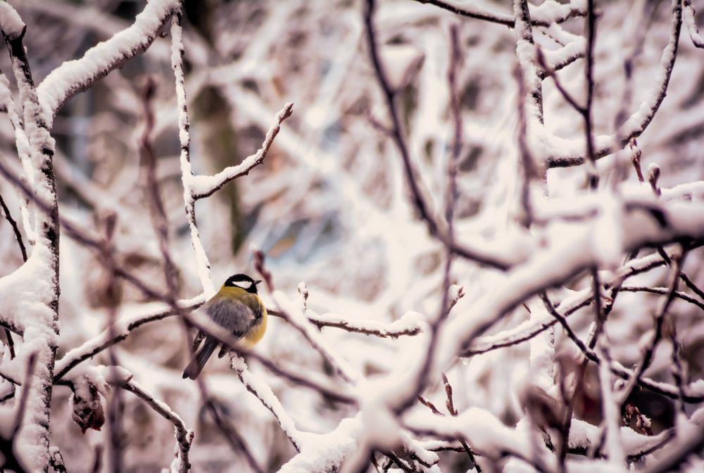 Photograph by Дмитрий