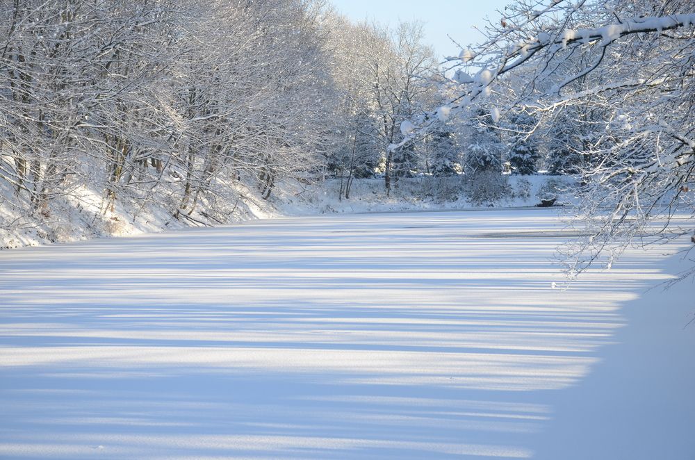 Photograph by Надежда Каравайцева