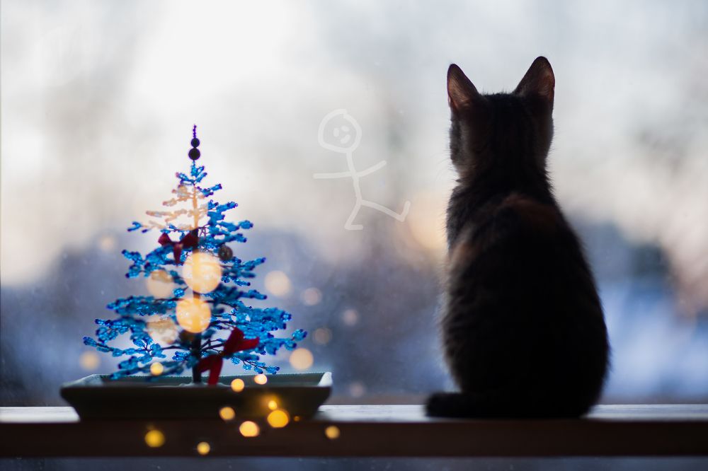 Photograph by Гузалия Галиуллина