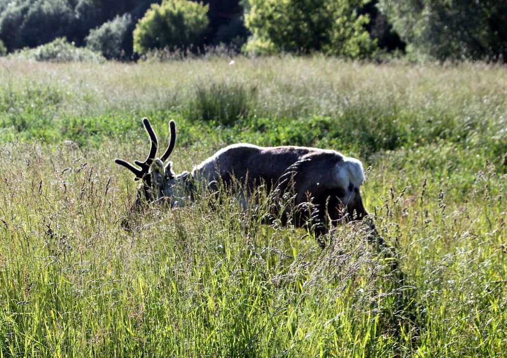 Photograph by Глеб Кузьминых