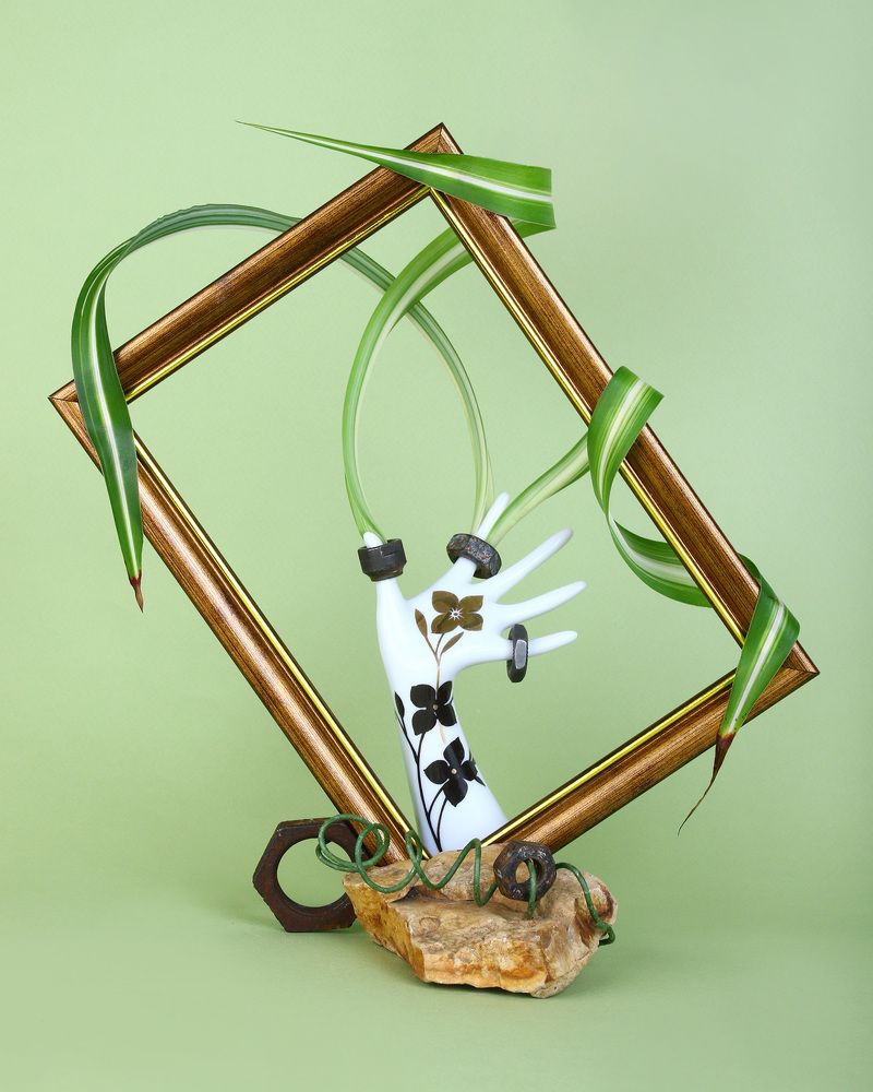 Фотография автора Елена Полякова