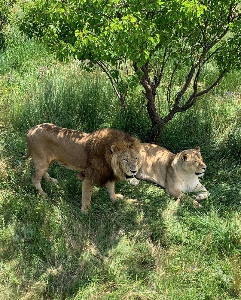 Photograph by Олеся Воробьева