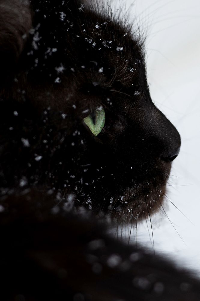 Photograph by Дарья Лисицына