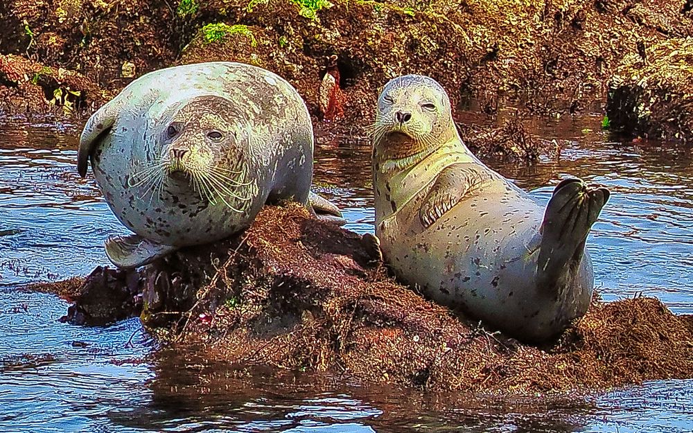 Photograph by Teguh Aria Djana