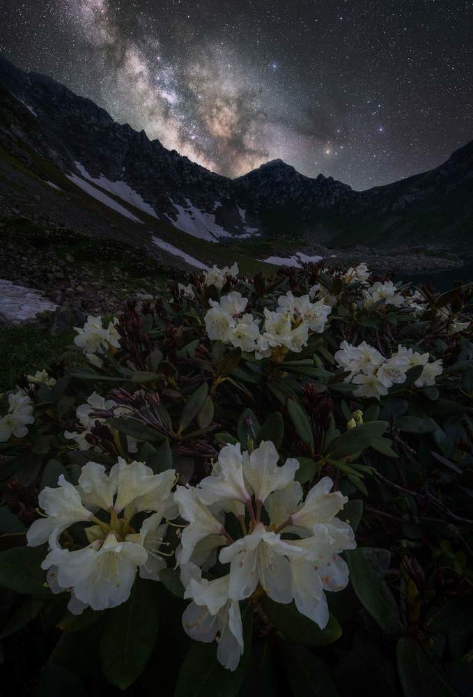 Photograph by Василий Яковлев