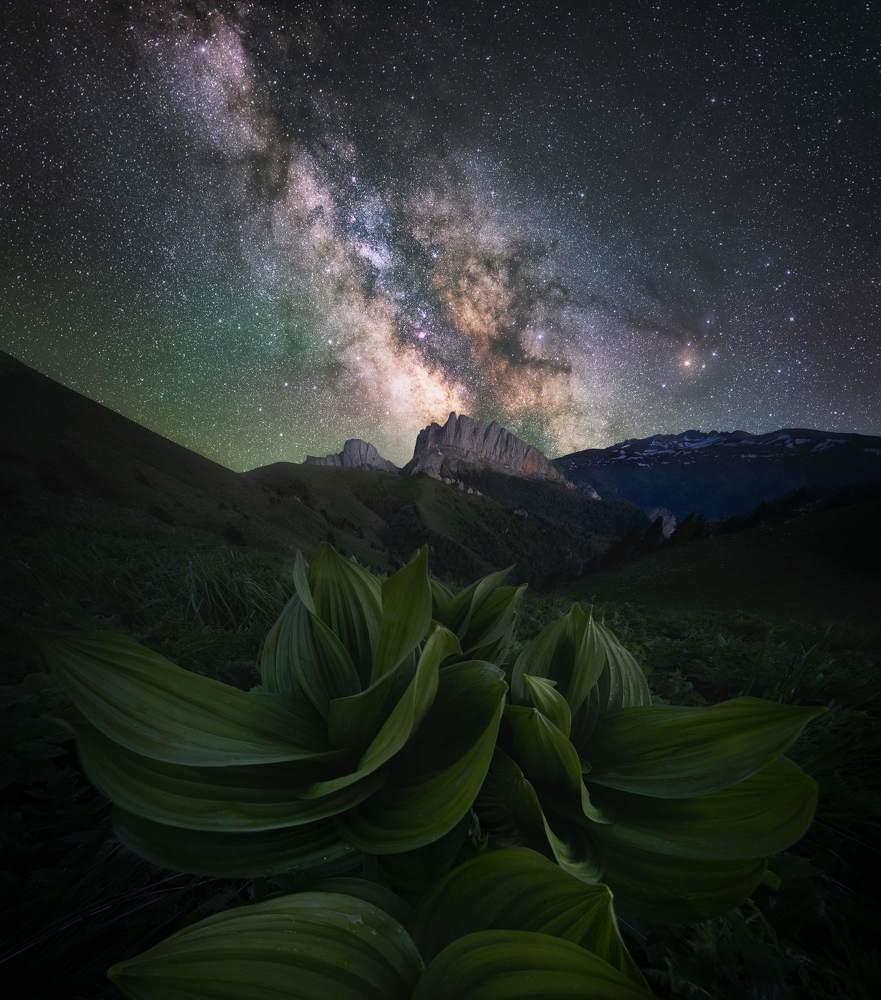 Photograph by Василий Яковлев