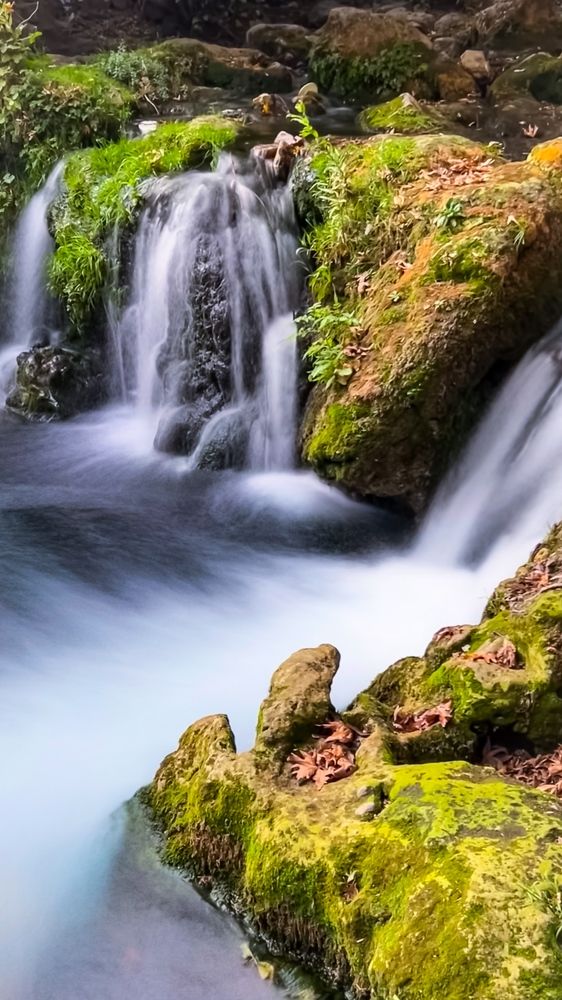 Photograph by Samer Husseini