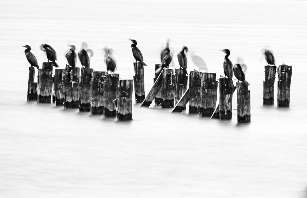 Фотография автора Maichel de Paula