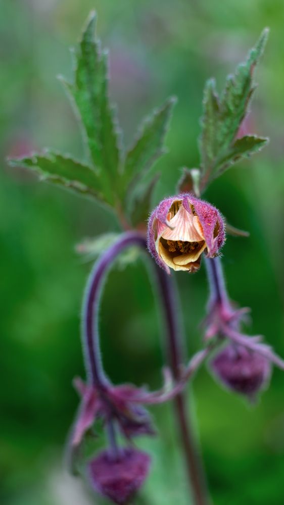 Photograph by Сергей Брызгалов