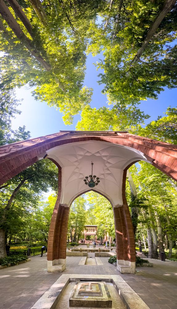 Photograph by Samer Husseini