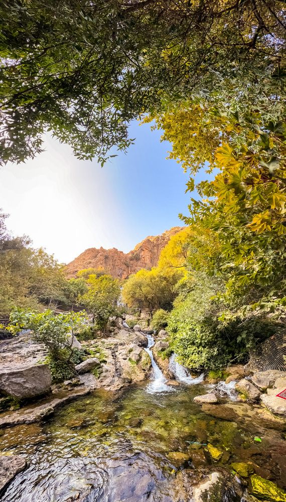 Photograph by Samer Husseini