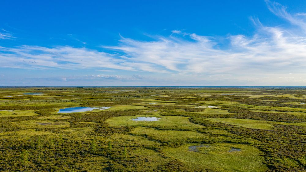 Photograph by Кадырова Марина