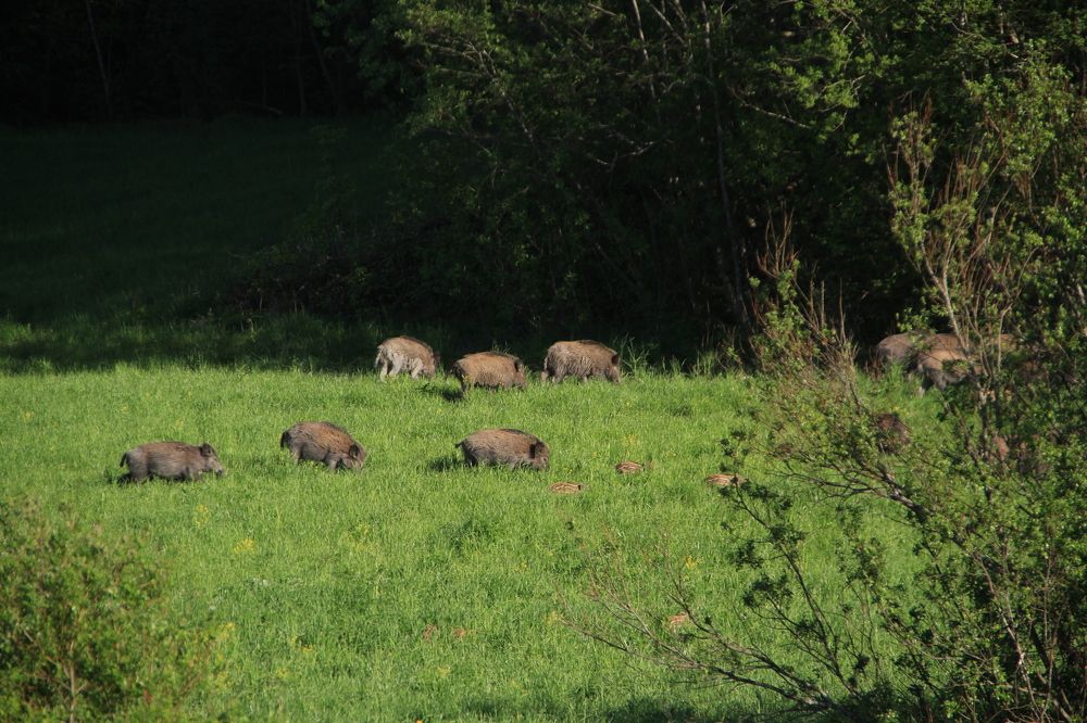 Фотография автора Анастасия Зверева