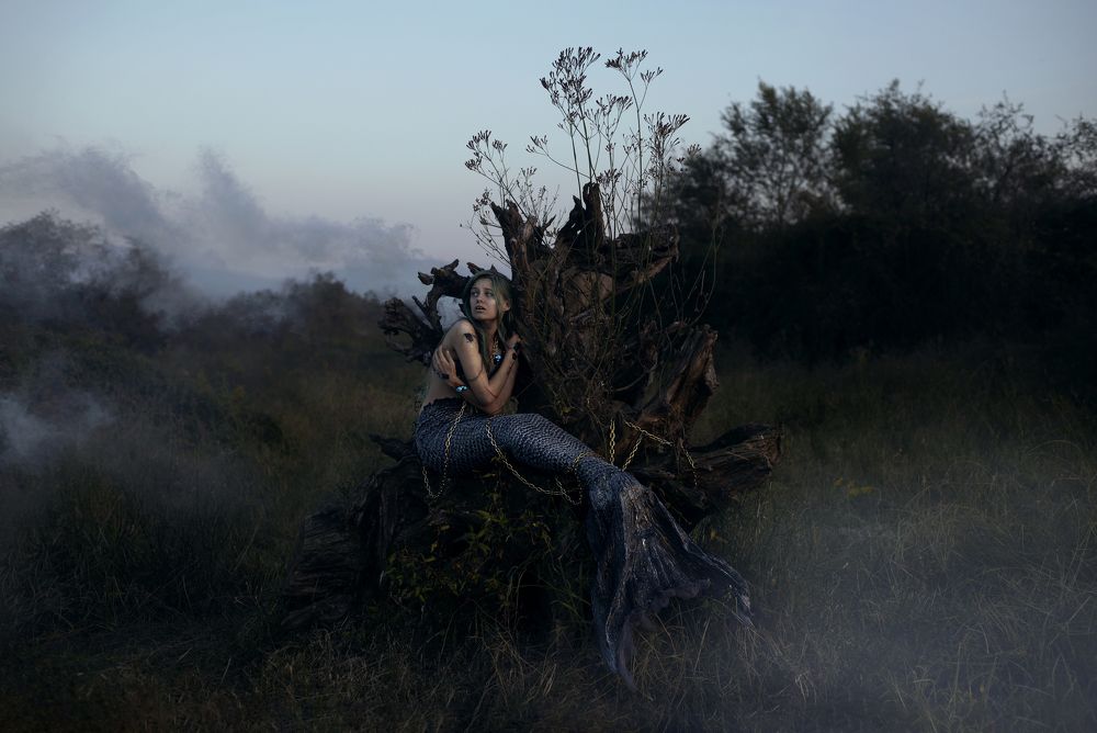 Photograph by Татьяна Сербина