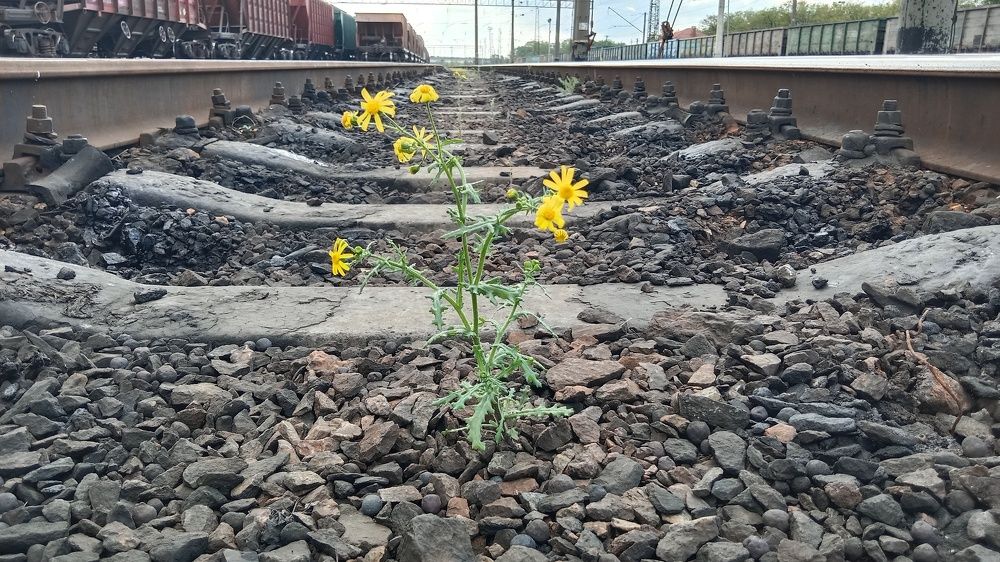 Photograph by Денис Лащ