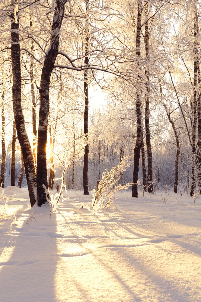 Photograph by Сергей Белокуров